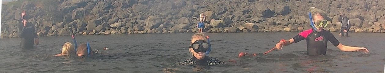 Urheilusukelluskerho Delfin ry